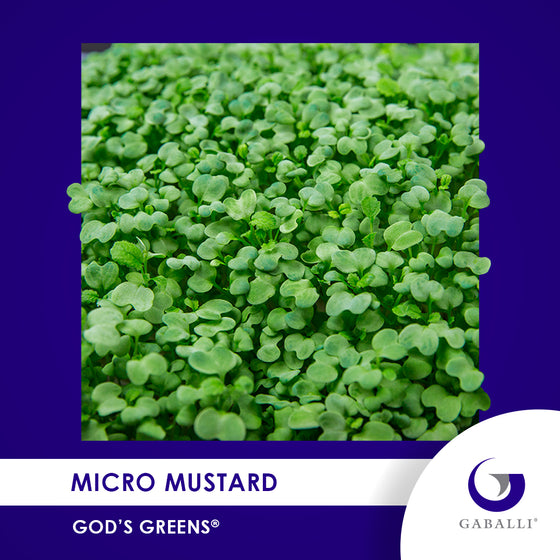 Micro Mustard Individual Grow Kit