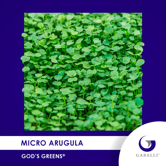 Micro Arugula Individual Grow Kit