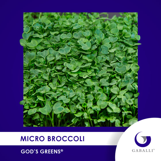 Micro Broccoli Individual Grow Kit