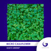 Micro Cauliflower Individual Grow Kit