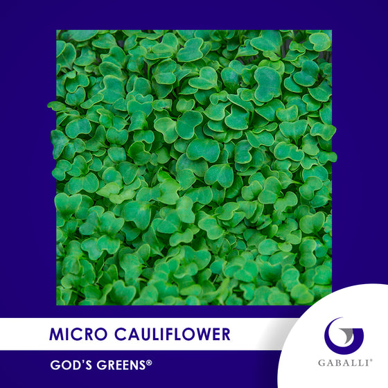 Micro Cauliflower Individual Grow Kit