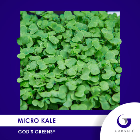 Micro Kale Individual Grow Kit