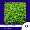 Micro Pak Choi Individual Grow Kit